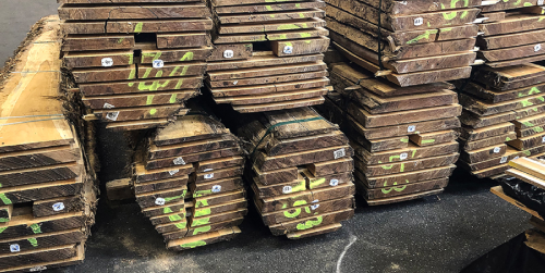 Green Teak Green Teak